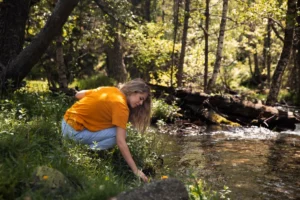 Woman in orange shirt examining plants by a forest stream.